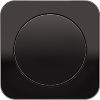 Berker R.1, Рамка: черный. Вставка: черный. Стекло