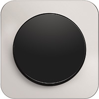 Berker R.1, Рамка: анодированный алюминий. Вставка: черный