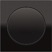 Berker R.3, Рамка: черный. Вставка: черный. Стекло