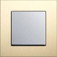 GIRA, Esprit, Цвет: Алюминий-светлое золото / Алюминий