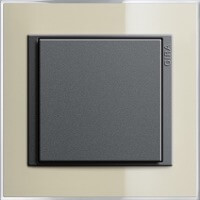 Gira Event Clear. Цвет рамки: Песочный; Цвет вставки и клавиши: Антрацит