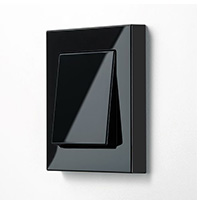 JUNG, A 550, Цвет: Черный