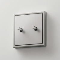 JUNG, LS 1912, тумблер в форме конуса, Цвет: Алюминий