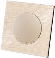 TDM Байкал, цвет: Шампань шлифованный алюминий