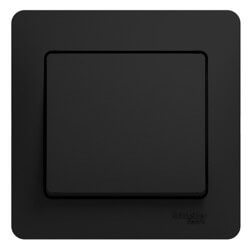 Schneider Electric, Glossa, Цвет: Антрацит