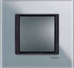 Schneider Electric, Unica Class, Цвет: Матовое стекло