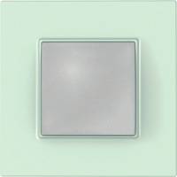 Schneider Electric, Unica Quadro, Цвет: Матовое стекло