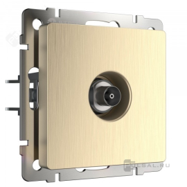 Розетка оконечная
Alumax,  Split,  Slab,  Senso,  Baguette,  Acrylic,  Platinum,  Elite,  Snabb,  Stream,  Flock,  Stark,  Fiore,  Favorit,  Diamant,  Aluminium,  Antik,  Metallic,  телевизионная (TV),  одинарная,   цвет - шампань рифленый,  пластмасса,  W1183010,  a051427,  Werkel
 - PULSAL.RU