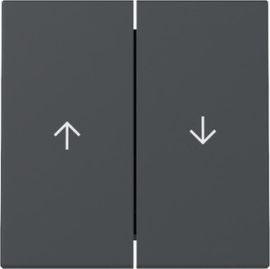 Клавиша двойная со стрелками вверх-вниз (для одного приводов штор) (новое поколение)
Studio,  Standard 55,  E2,  E3,  Event,  Esprit,  без фиксации,  с фиксацией,  без подсветки,   цвет - антрацит,  пластмасса,  329428,  3294 28,  Gira
 - PULSAL.RU