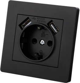 Розетка USB A+A, 2.1А с электрической розеткой
Сенеж,  USB type-A 5V,  Электр. с USB,  двойная,   цвет - черный,  пластмасса,  SQ1816-0283,  TDM
 - PULSAL.RU