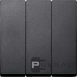 Клавиши
M-Plan,  M-Elegance,  M-Pure,  M-Pure Decor,  трехклавишный,  без подсветки,   цвет - антрацит,  пластмасса,  MTN311914,  MEG311914,  Merten
 - PULSAL.RU