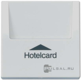 Накладка карточного выключателя
LS 990,  LS-design,  без подсветки,   цвет - светло-серый,  пластмасса,  LS590CARDLG,  LS 590 CARD LG,  JUNG
 - PULSAL.RU