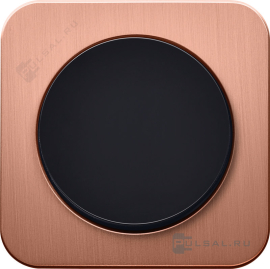 Рамка
R.1,  1 пост,   цвет - медь,  черный глянцевый,  вертикальная,  горизонтальная,  металл,  MAN0107017,  Berker
 - PULSAL.RU