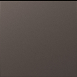 Клавиша для выключателей, переключателей и кнопок
S08,  одноклавишный,  без подсветки,   цвет - мокко,  пластмасса,  DS29653,  Donel
 - PULSAL.RU