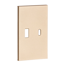 Лицевая панель для зарядки USB
Soft Touch,  USB type-C 5V,  USB type-A 5V,  двойная,   цвет - шампань матовый,  пластмасса,  ACH12C,  MEITON
 - PULSAL.RU