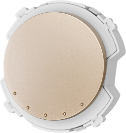 Выключатель
Байкал,  одноклавишный,  без подсветки,   цвет - шампань,  пластмасса,  SQ1819-0530,  TDM
 - PULSAL.RU