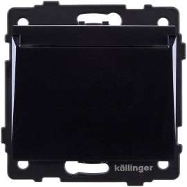 Карточный выключатель
Aspekt,  Eleganz,  Reflex,  без подсветки,   цвет - черный,  пластмасса,  REA-041BK,  Kollinger
 - PULSAL.RU